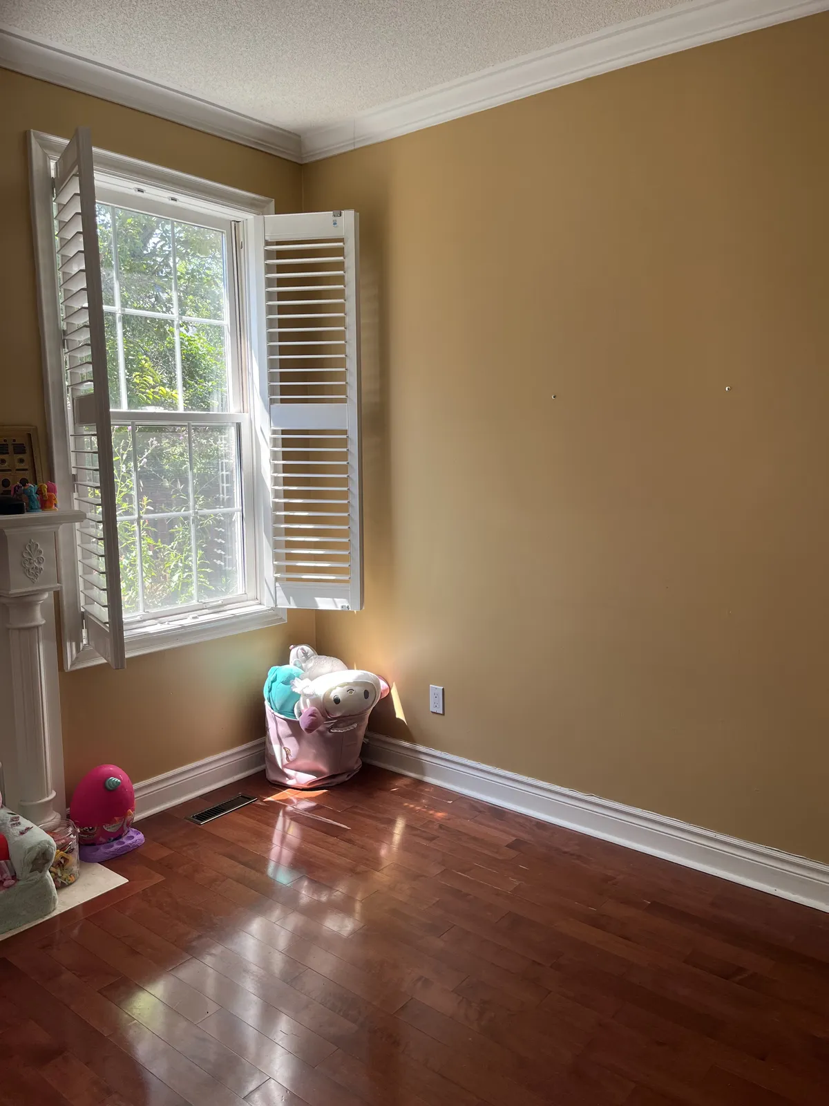 Open room after the sofa and bulky items were removed