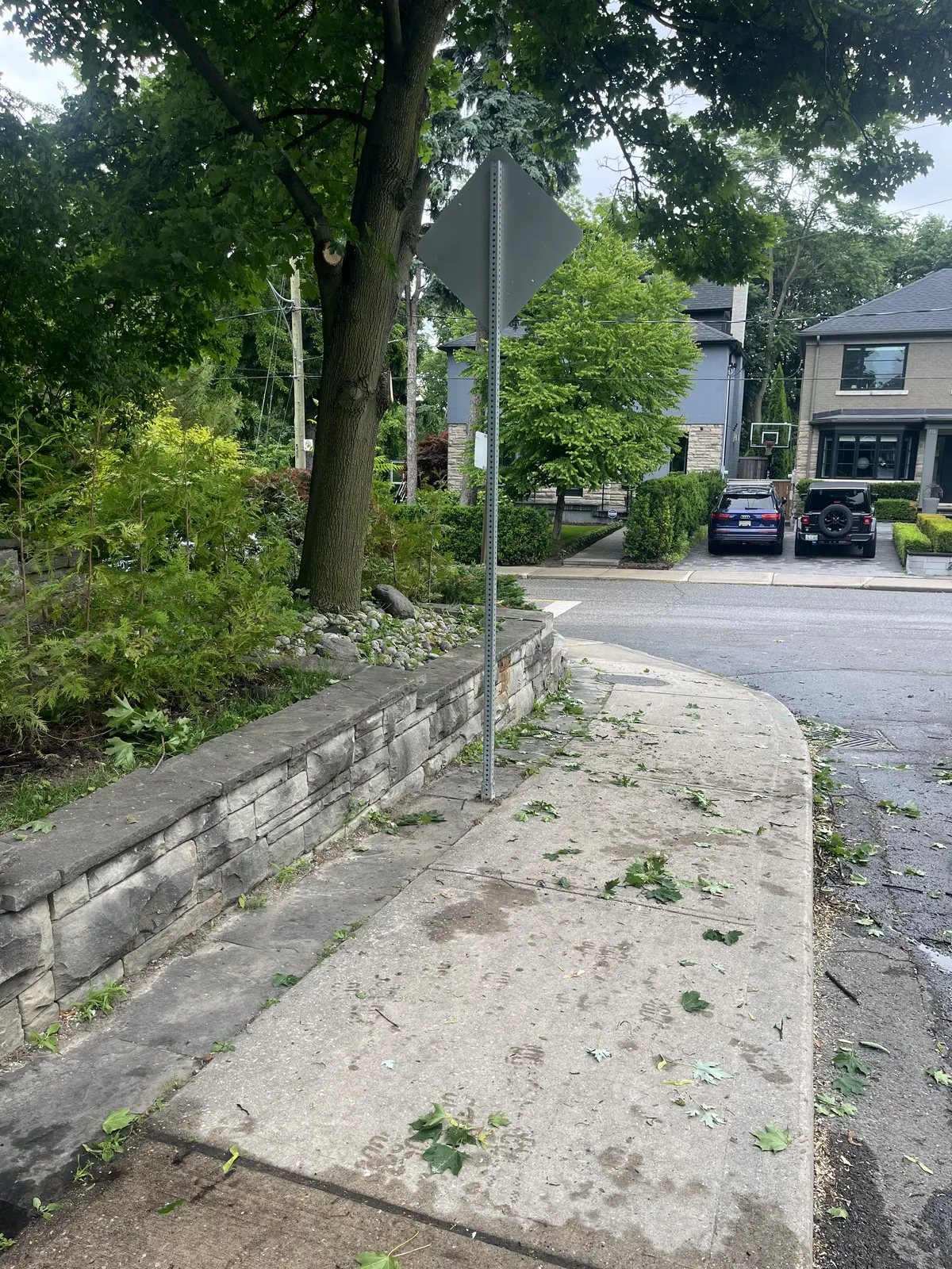 Cleared yard after the brush and unwanted yard waste were taken away